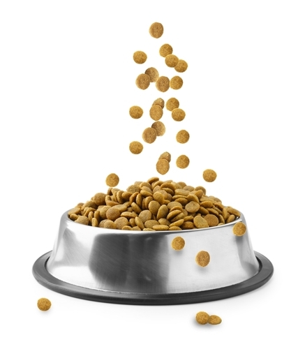 milyen kutyatápot vegyek