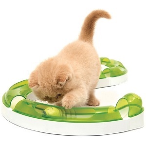 macskajáték: Labdapálya macskajáték: Labdapálya