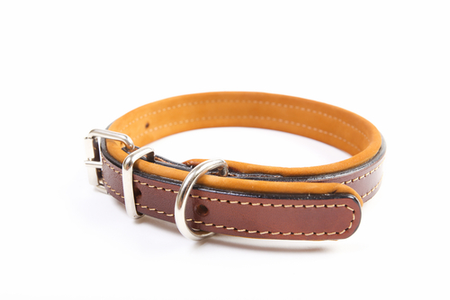 Milyen nyakörvet vegyek?