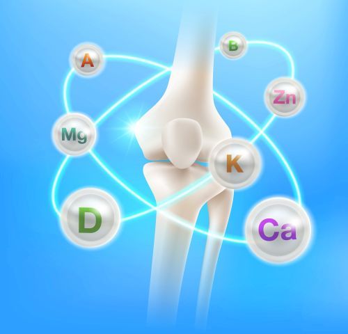 Hogyan válasszunk ízületvédőt