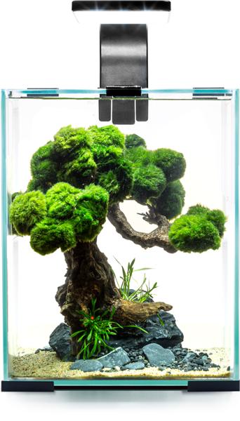 Shrimp Set Day & Night LED 10l