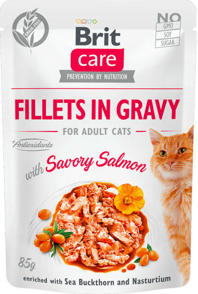 Care Fillets in gravy salmon 85 g