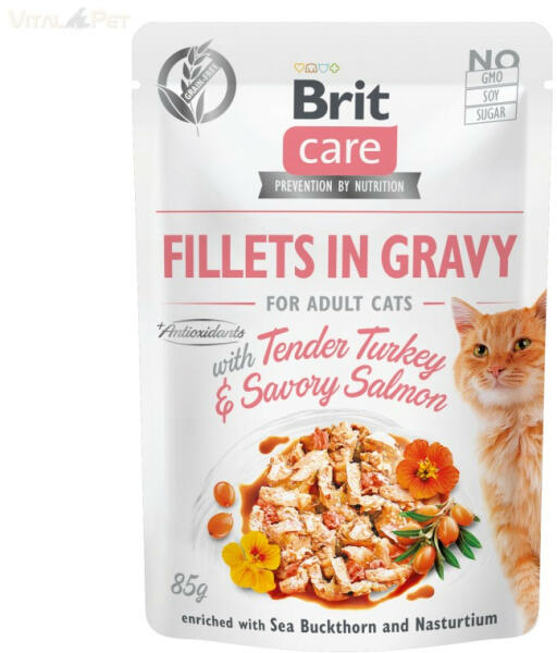 Care Fillets in gravy turkey & salmon 85 g