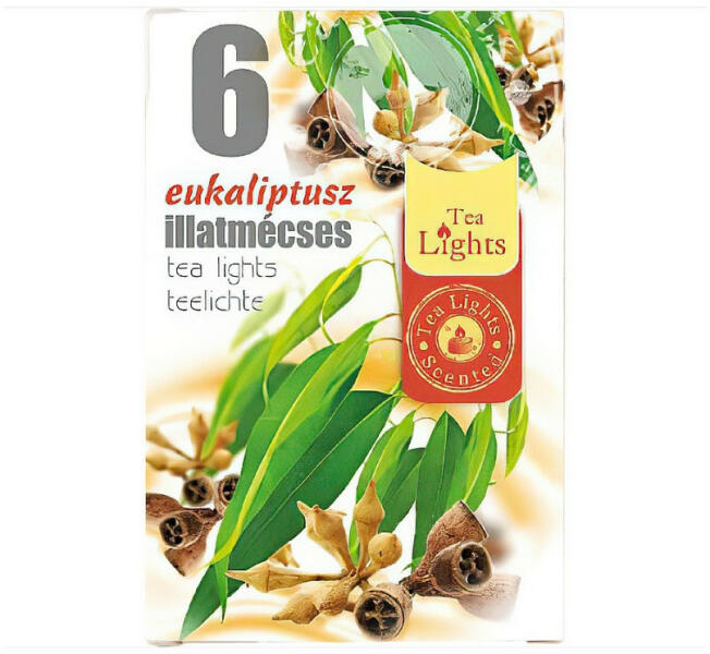 Teamécses eukaliptusz 6 db