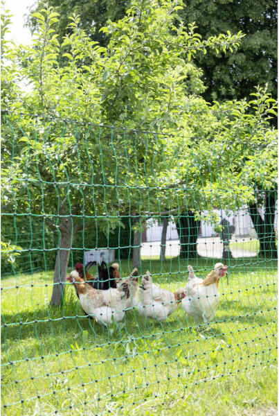 Baromfiháló (nem elektromos), zöld, 25 m x 106 cm, dupla leszúró tüskével - farmservice - 34 370 Ft
