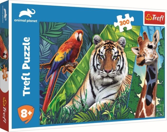 Animal Planet 300 db-os (23007)