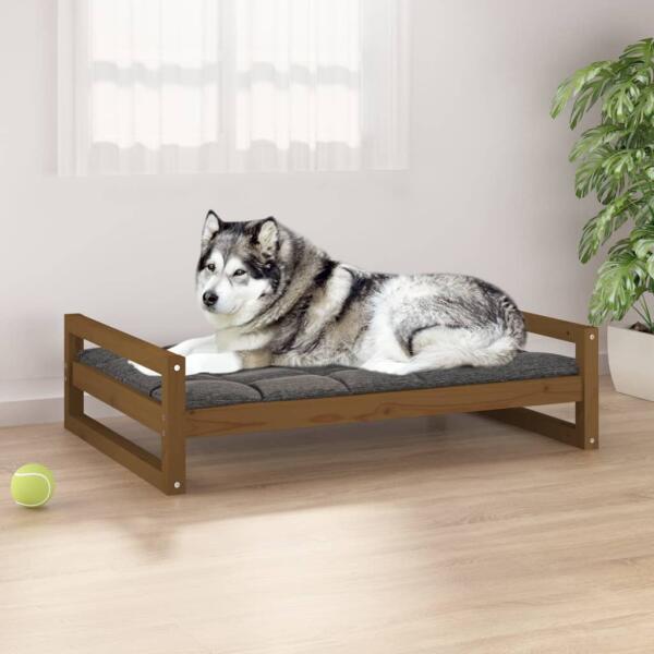 vidaXL Pat pentru câini, maro miere, 105, 5x75, 5x28 cm, lemn masiv pin  (821490) - comfy (Pat caini) - Preturi