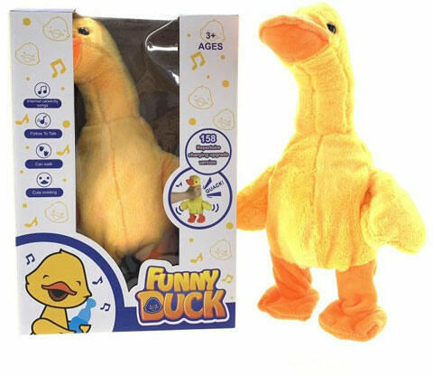 Cuki táncoló és éneklő kacsa (MKO262370)