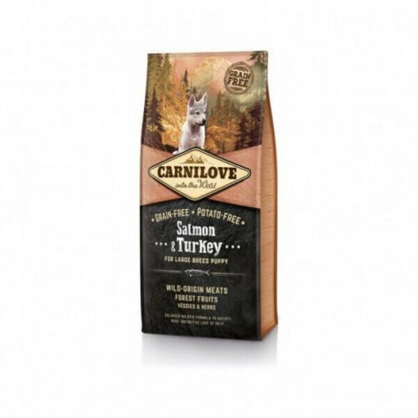 Puppy Salmon & Turkey Large 4 kg