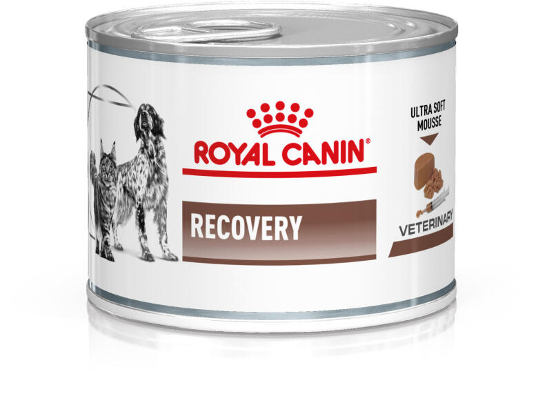 Royal Canin Recovery Liquid Canin/Feline 24x195 g Храна за кучета Цени,  оферти и мнения, списък с магазини, евтино Royal Canin Recovery Liquid  Canin/Feline 24x195 g