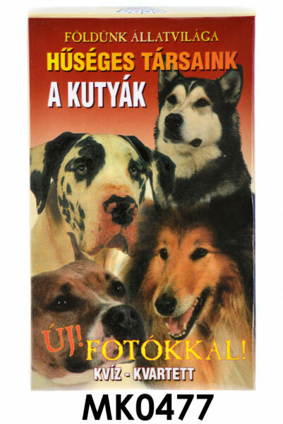 Kutyák kvartett