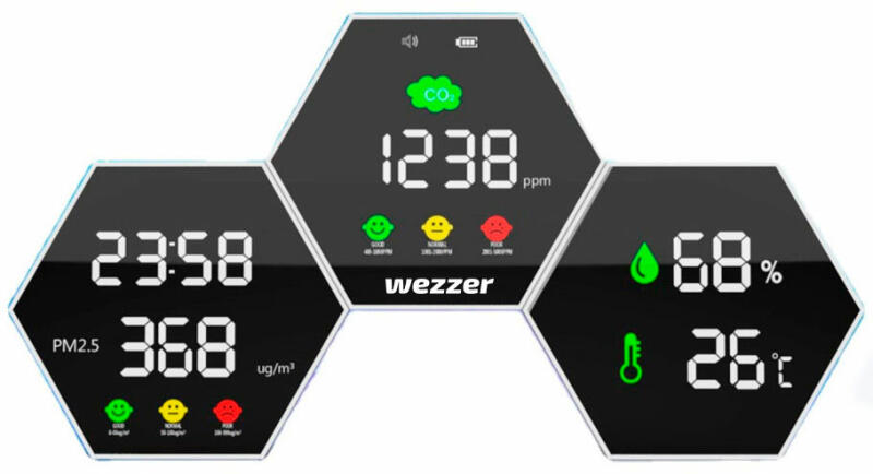 Wezzer Air PRO DM50 (81401)