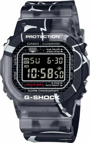 DW-5000SS-1ER