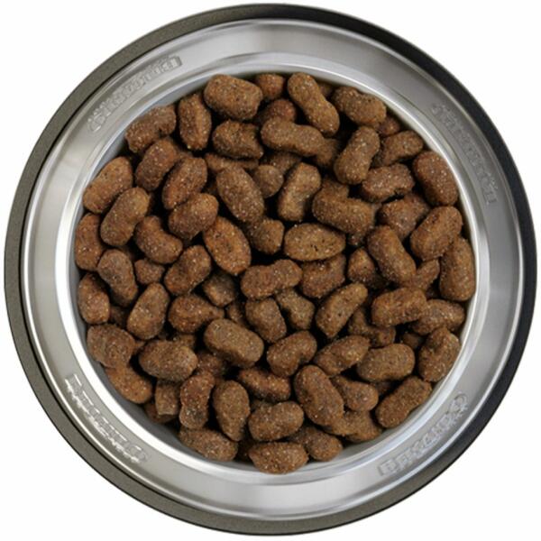 Adult Grain Free Horse 1 kg
