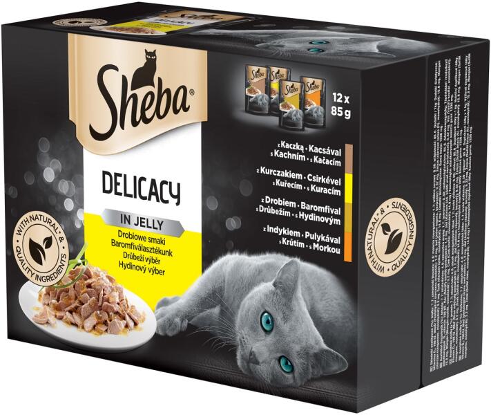 Delicacy in jelly poultry 12x85 g