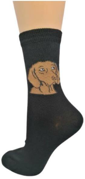 Vásárlás: YVONNE Vizsla kutyát zokni 39-41 4362 Női zokni árak  összehasonlítása, Vizsla kutyát zokni 39 41 4362 boltok