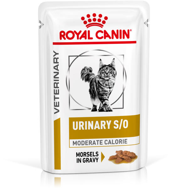 Vásárlás: Royal Canin Urinary S/O Moderate Calorie Pouch 24x85 g  Macskaeledel árak összehasonlítása, Urinary S O Moderate Calorie Pouch 24 x  85 g boltok