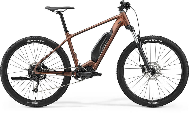 eBIG NINE 300SE (2022)