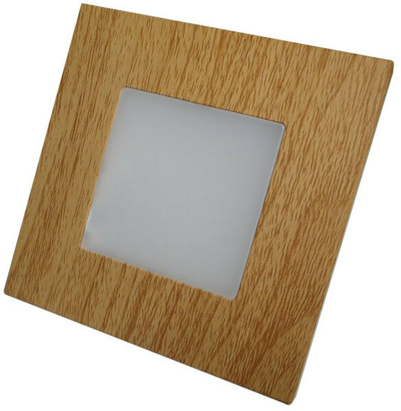 Step Light 48307