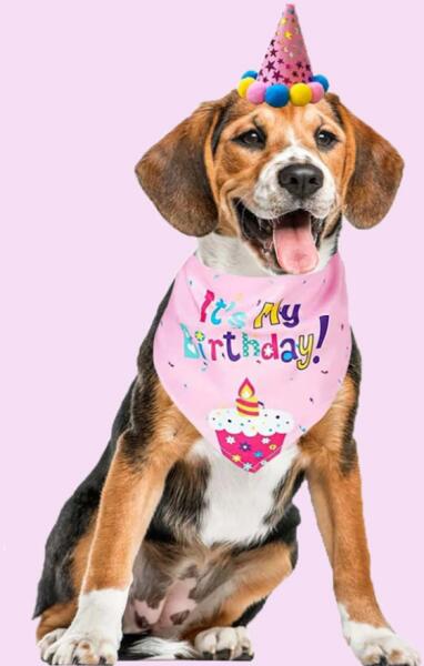 Vásárlás: Kutya Születésnapi kendő, lányos (rózsaszín) Kutyaruha árak  összehasonlítása, Kutya Születésnapi kendő lányos rózsaszín boltok