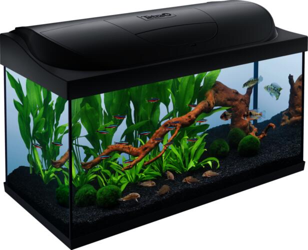 Vásárlás: Tetra Starter Line 105 LED akvárium szett fekete Akvárium árak  összehasonlítása, StarterLine105LEDakváriumszettfekete boltok