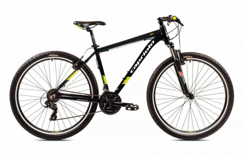MTB 9.1 29