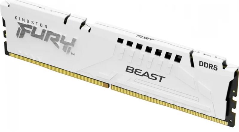 FURY Beast 16GB DDR5 5600MHz KF556C36BWE-16