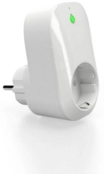 Plug P