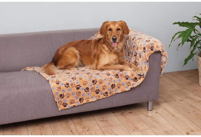 Blanket Laslo 150x100 cm 37203