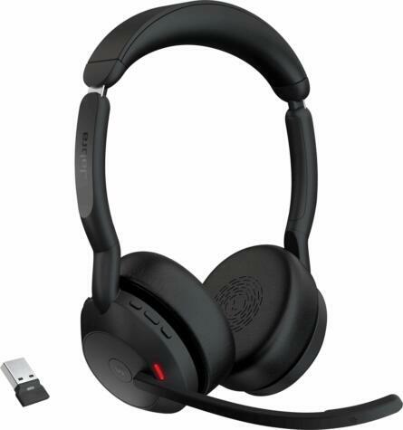 Evolve2 55 LINK 380A MS Stereo (25599-999-989)