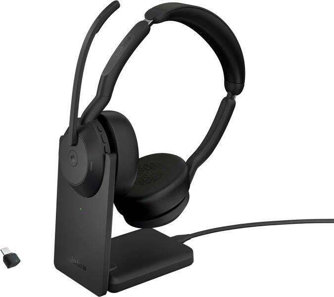 Evolve2 55 LINK380C MS Stereo (25599-999-889)