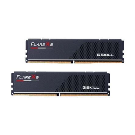 Flare X5 48GB (2x24GB) DDR5 5600MHz F5-5600J4040D24GX2-FX5