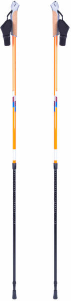 Nordic Walking Potosi (13156)