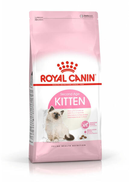 Kitten 1,2 kg