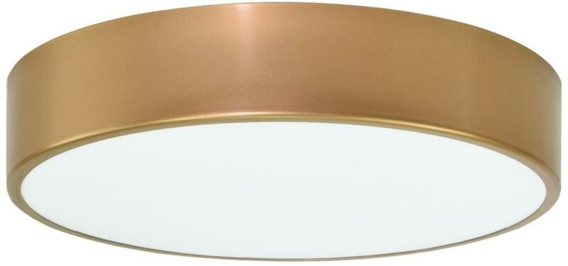 CLEO TM0038