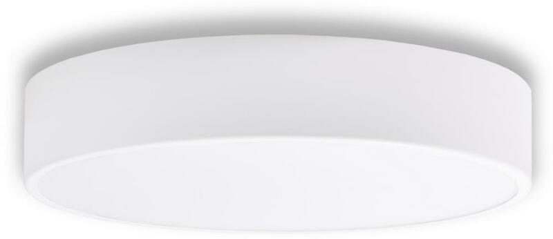 CLEO TM0101
