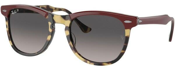 Eagleeye RB2398 1377M3