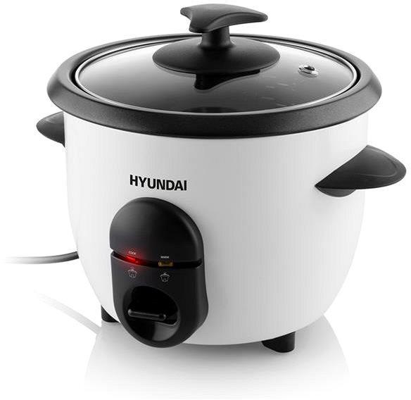 RC 060 (HYURC060)