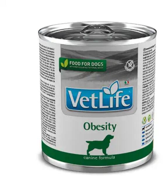 Natural Diet Obesity 300 g