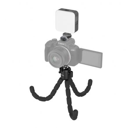 EOS R50 421