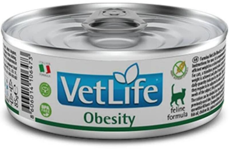 Obesity 85 g