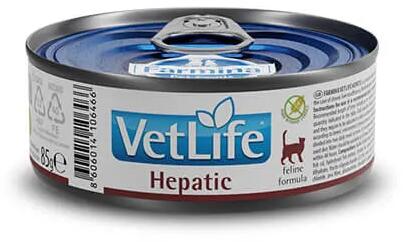 Hepatic 85 g