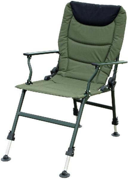 Comfort Carp Armchair 2 900000025