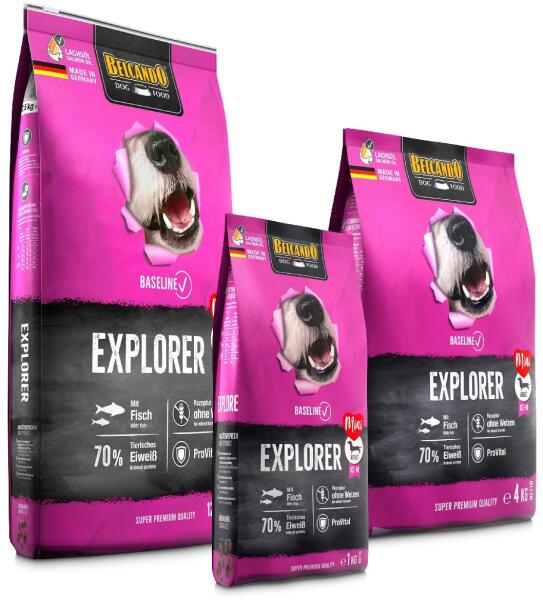 Baseline Explorer 4 kg