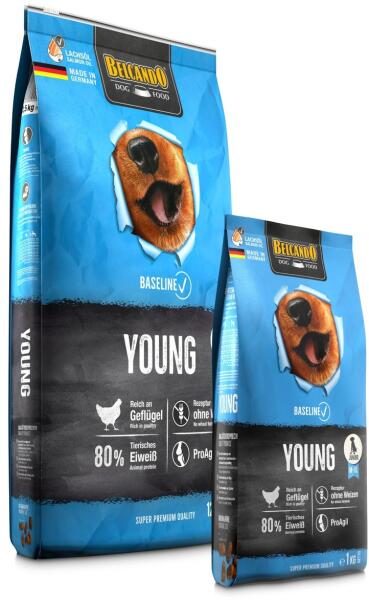 Baseline Young 1 kg