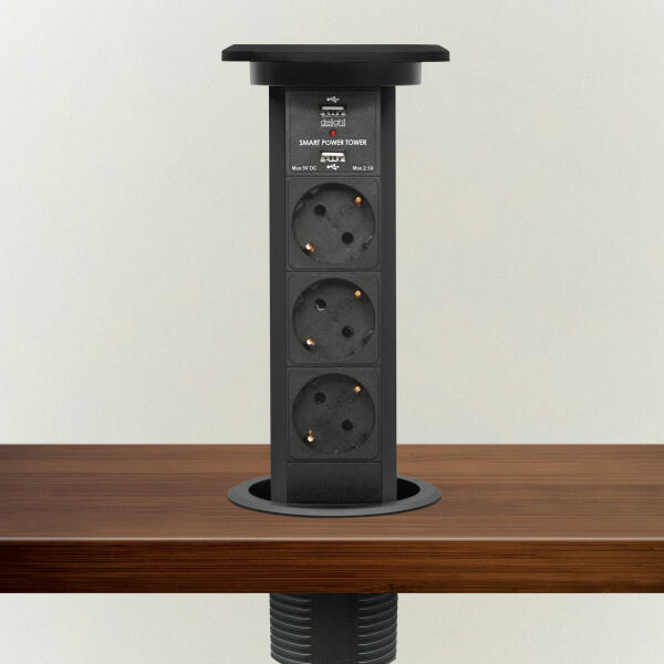 2 Plug + 2 USB + AUX (20450B)