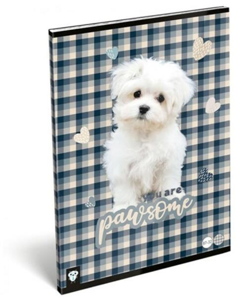 Pawsome A4 négyzetrácsos 32 lap 87-32 (19464)