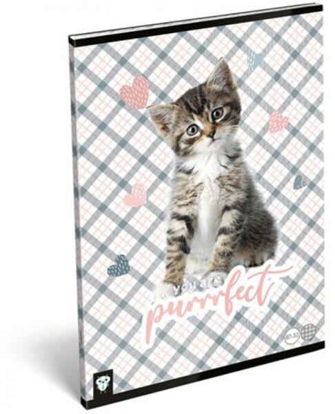 Purrrfect A4 négyzetrácsos 32 lap (19465)