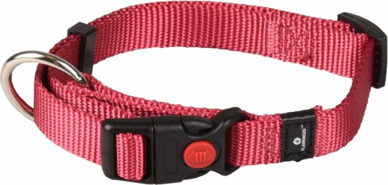Ziggi 1x30-45 cm cherry