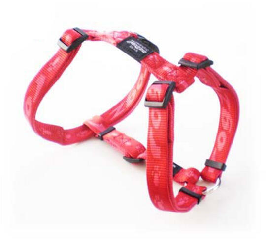 Alpinist K2 Dog L piros